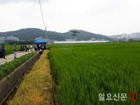 광주시농기센터, 고품질 쌀 생산 교육·드론 방제 시연