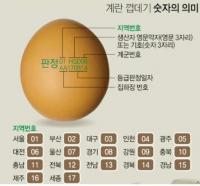 대구시, 살충제 계란 7600여개 회수·판매중지 조치