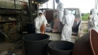 인천시, 살충제 검출 농가 계란 회수·폐기 진행 중