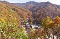영동군, 민주지산자연휴양림 추석연휴 무료 개방 