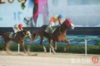  환상의 폭발력 뽐내며 반전드라마 쓴 부산 경주마 ‘월드선’