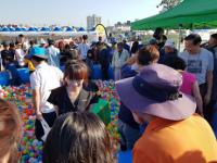 영천 별의별축제, 4개 축제 통합으로 영천 전역 '들썩'