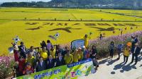 창원시, 무점마을 코스모스축제 연휴 기간 내내 발길 이어져