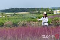 함평군 국제농업박람회 참가 준비 '구슬땀'