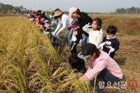 전남농업박물관, 21일 가을 들녘 수확 체험행사