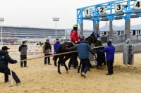 한국마사회 부산경남, ‘악벽마 클리닉’ 통해 경주사고 예방에 앞장