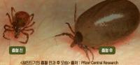  쯔쯔가무시증 조심하세요