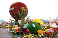 창원시, 9600여점 국화의 향연 ‘제17회 마산가고파국화축제’ 막 올라