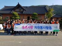 경남농협 대학생 농촌사랑봉사단, 감 수확에 구슬땀