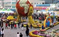 '제17회 마산가고파 국화축제' 더 나은 축제 기약하며 막내려