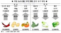 aT 부산울산본부, 건고추 가격 강세, 과채류 보합세