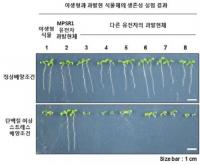 이상기후 대응하는 신기능 작물 개발 가능성 열여