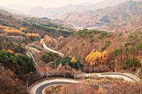 영동군 도마령 '만추의 절경을 뽐낸다'