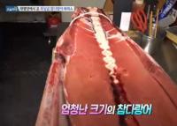 '생방송 오늘저녁' 참치회·한우구이, 해체쇼로 눈길 확 "맛도 업그레이드"