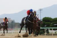 렛츠런파크 부산경남 ‘캡틴블레이드’ 4연승 질주
