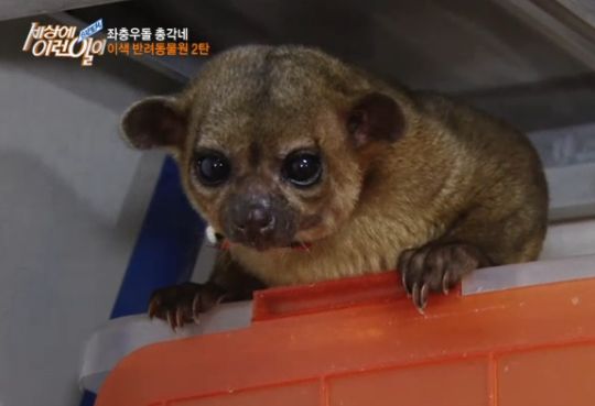 망고이야기 이미지