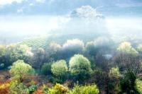 경북 3개 시·군 '2018 생태테마관광 자원화사업' 선정