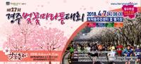 "'제27회 경주벚꽃마라톤대회'…2천년 역사도시 달려볼까"