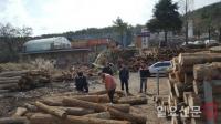 [김해시 브리핑] 소나무재선충병 확산 방지 위한 합동단속 外
