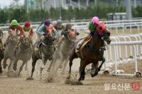 렛츠런파크 부산경남, 4월 경마시행계획 발표