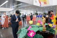 세종시청, 부처님오신날 봉축연등 점등