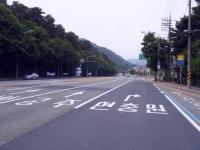 대전 현충원로 노면표시 재 도색