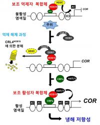 식물생육 북방한계선을 올린다