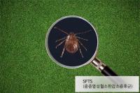 [부산시 브리핑]  부산 방문 외국인 관광객, 1년만에 증가세 전환 外
