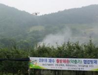 금산군 돌발해충 방제 실시