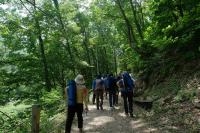 옥천 장령산자연휴양림 산림치유 프로그램 시작