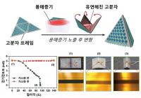 광주과기원 고흥조 교수팀, 맹점 원천적으로 제거된 카메라 센서 제작