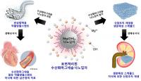 임플란트 염증반응 억제 기술 개발