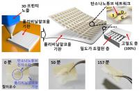 국민대 최성진·세종대 김성호 교수, 사라지는 전자소자 개발