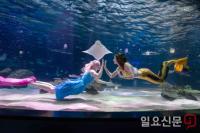 한화 아쿠아플라넷63, 'Summer in 63' 체험단 모집