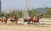 우승 문턱 삼켰던 ‘부산 女 경주마’, 이번엔 금빛 미소 볼 수 있을까 