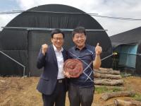 경북지재센터, 창업초기 영지버섯기업에 IP 융합 컨설팅 지원