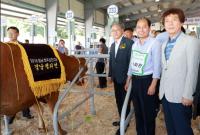 경남농협 2018년 경남 한우경진대회 성료... 한우산업 견인에 이바지