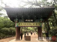 '포항 보경사', 위법·불법행위… '조계종'이 직접 나서서 조사 해야
