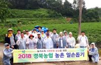 경북농협, 안동 서후면서 '농촌일손돕기' 구슬땀 外