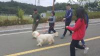 경산교육지원청, 장애학생 꿈과 끼 키우는 특수학교 자유학기제 운영