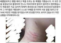 '평소 맘에 안든다' 안동서 여중생 집단 폭행···경찰 조사 중