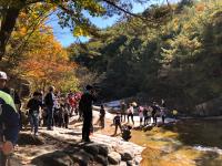 경북도, "경북 '구곡(九曲)'…명품 트레킹 브랜드로 육성한다"