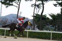 한국경마 차세대 기대주를 가린다...렛츠런파크 부산경남, 브리더스컵 개최