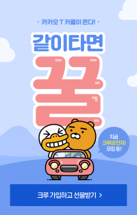 카카오, 카풀 시범 서비스 잠정중단, 영구중단 가능성까지 솔솔