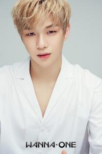 '강다니엘 사태'에 한매연도 입 열었다 "불법 에이전시에 단호하게 대처"