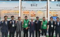 [청도군정] 2019년 귀농귀촌 청년창업 박람회 참가 外