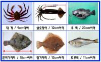 경북도, 불법어업 '꼼짝마'… 5월 한 달 집중단속 나서