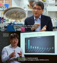 ‘SBS스페셜’ 프로바이오틱스-프리바이오틱스 효능 공개 “면역력 강화” 