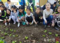 "우리학교 텃밭 최고 인기는 ?”