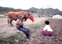 금산다락원, 양해남 시사진전 '내게 다가온 모든 시간' 개최